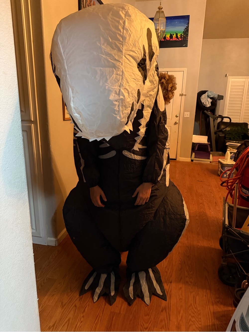 Amazon Inflatable Black and White Dinosaur Costume